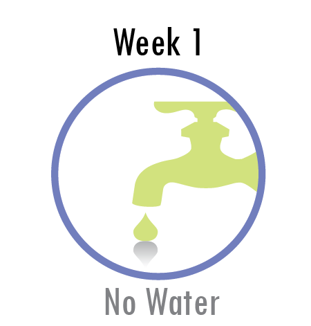 Week 2 - No Water